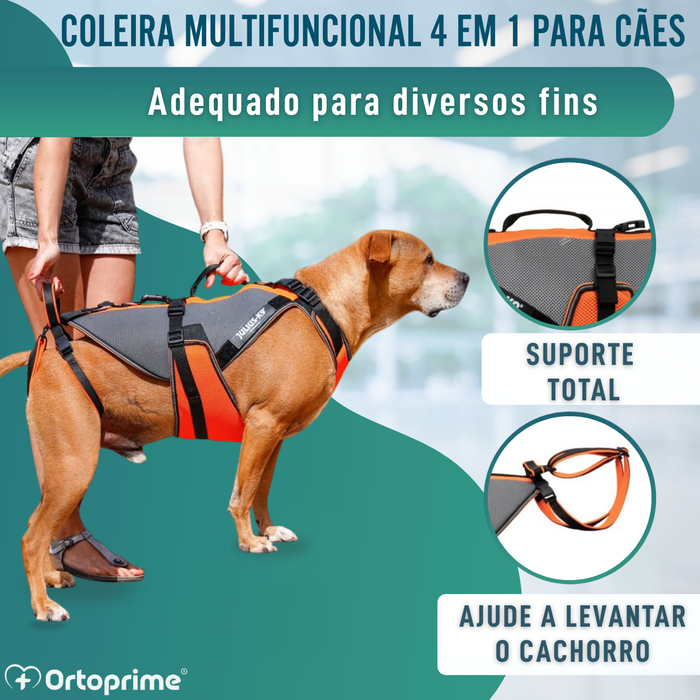 Arnês de Reabilitação Integral para Cães | Material 3D