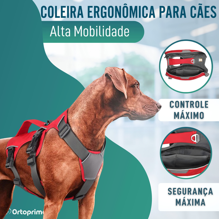 Arnês para Cão de Resgate | Alta Resistência