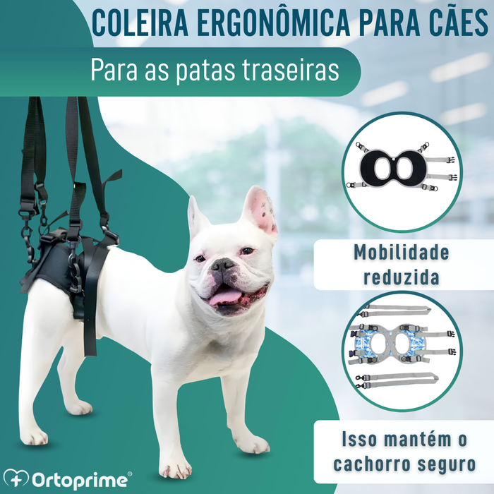 Arnês para Cães com Mobilidade Reduzida nas Patas Traseiras