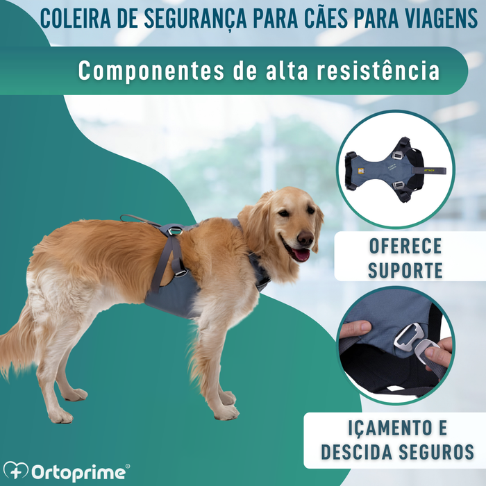 Arnês de Segurança para Transporte Canino | Alta Resistência