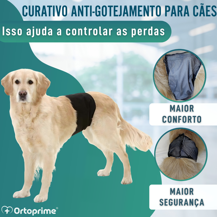 Faixa Antigoteo para Incontinência Canina | Cão Macho