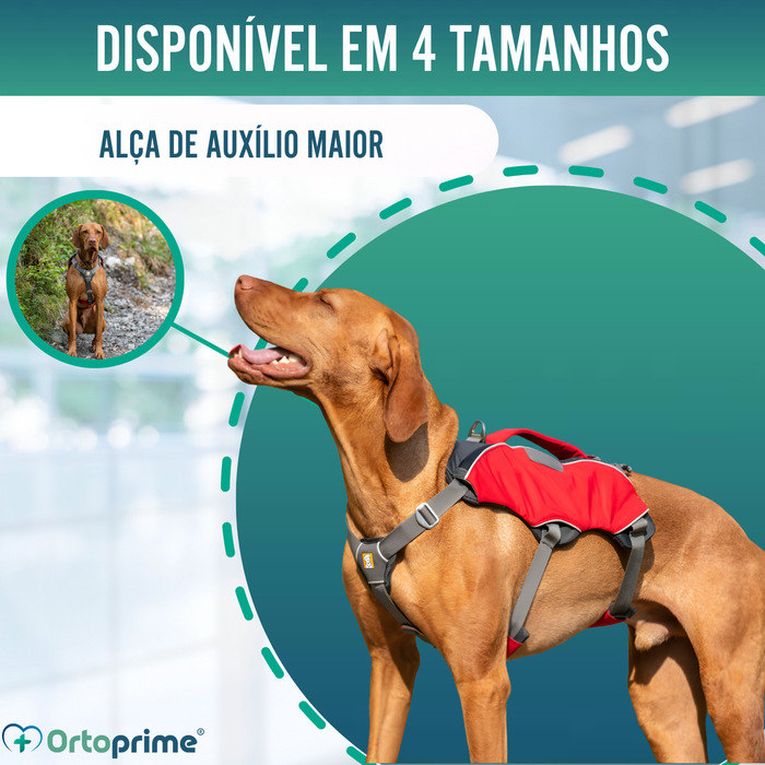 Arnês para Cão de Resgate | Alta Resistência