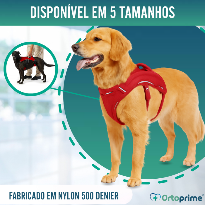 Arnês de Suporte para Cães de Serviço | 5 Tamanhos