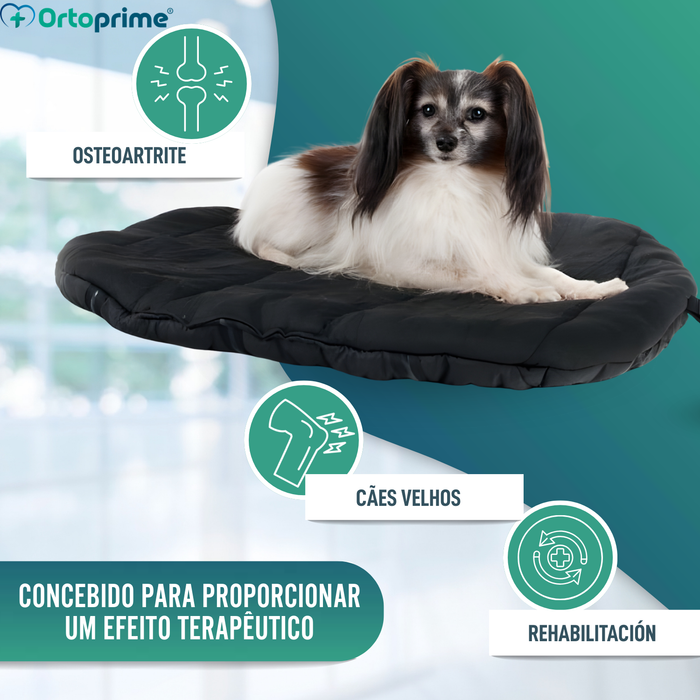 Cama Térmica para Cães com Artrose | Tecido Terapêutico