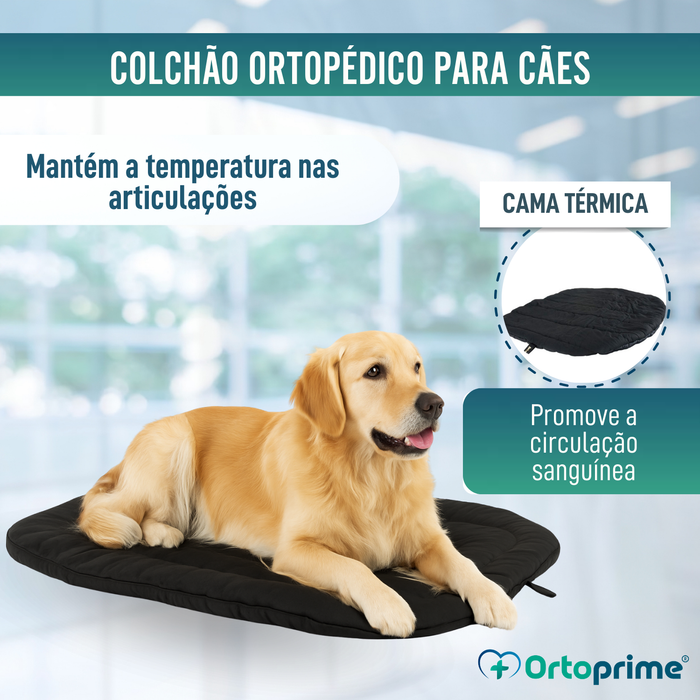 Cama Térmica para Cães com Artrose | Tecido Terapêutico
