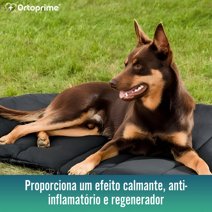 Cama Térmica para Cães com Artrose | Tecido Terapêutico