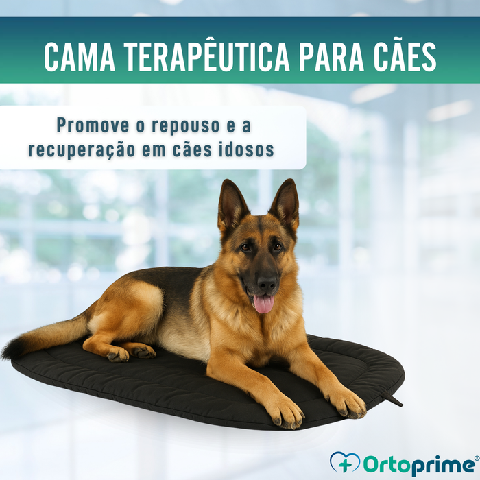 Cama Térmica para Cães com Artrose | Tecido Terapêutico