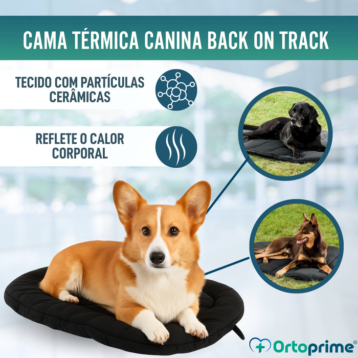 Cama Térmica para Cães com Artrose | Tecido Terapêutico