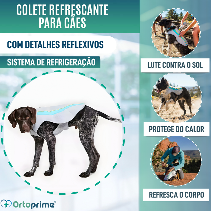 Colete de Verão para Cães | Arrefecimento por Evaporação