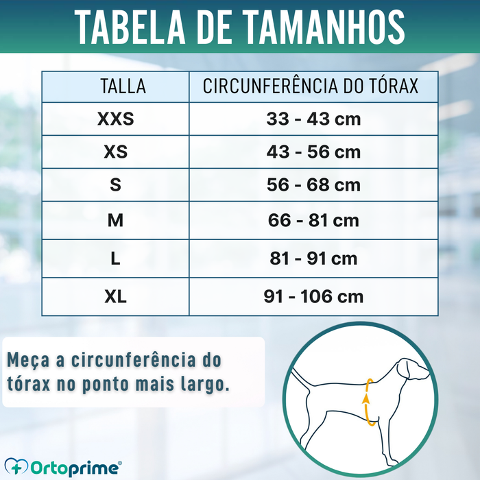 Colete Salva-Vidas para Cães Multiuso | Segurança Aquática