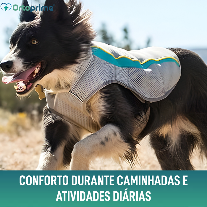 Colete de Verão para Cães | Arrefecimento por Evaporação