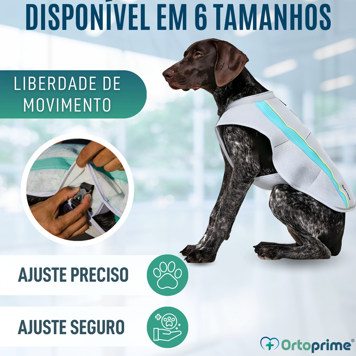 Colete de Verão para Cães | Arrefecimento por Evaporação