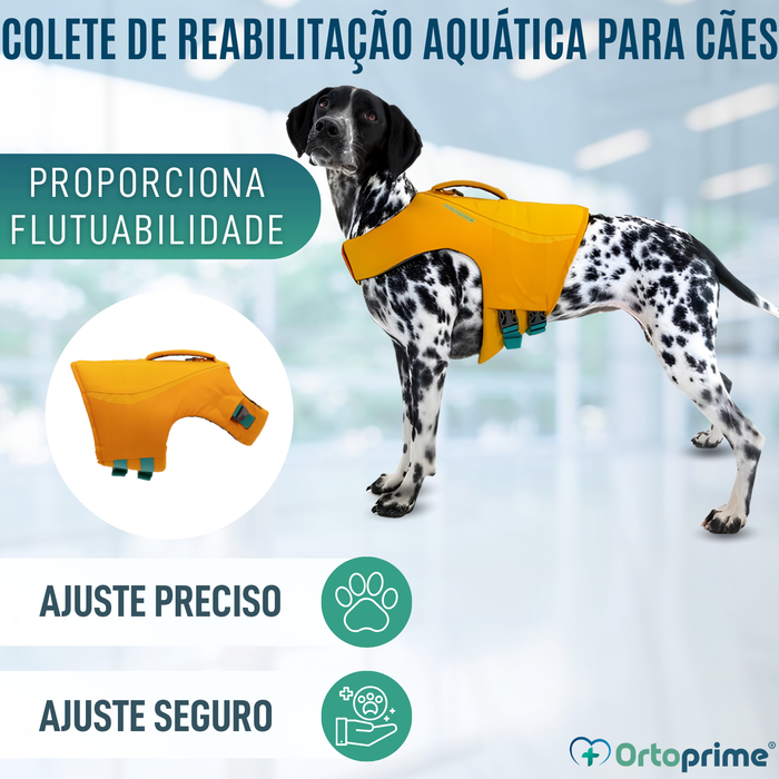 Colete Salva-Vidas para Cães Multiuso | Segurança Aquática