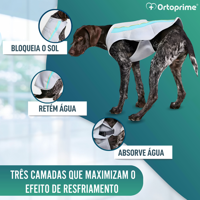 Colete de Verão para Cães | Arrefecimento por Evaporação