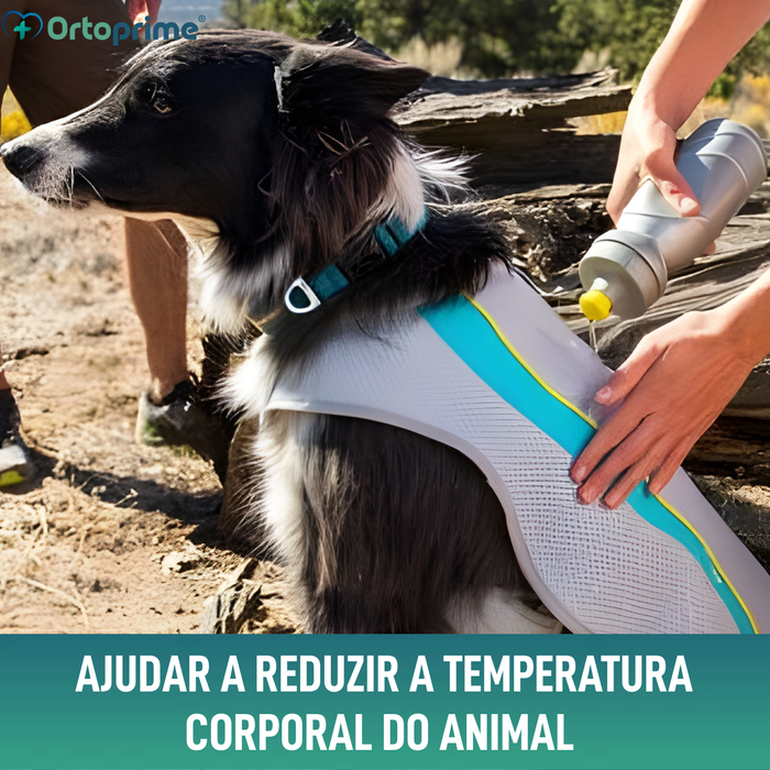 Colete de Verão para Cães | Arrefecimento por Evaporação
