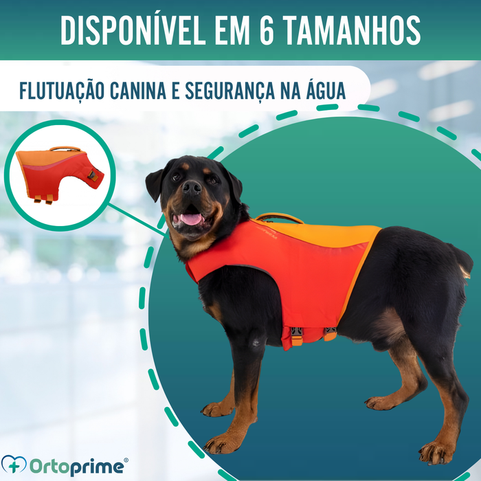 Colete Salva-Vidas para Cães Multiuso | Segurança Aquática