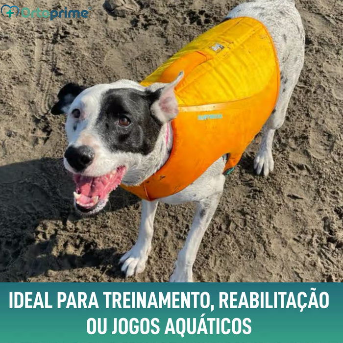 Colete Salva-Vidas para Cães Multiuso | Segurança Aquática