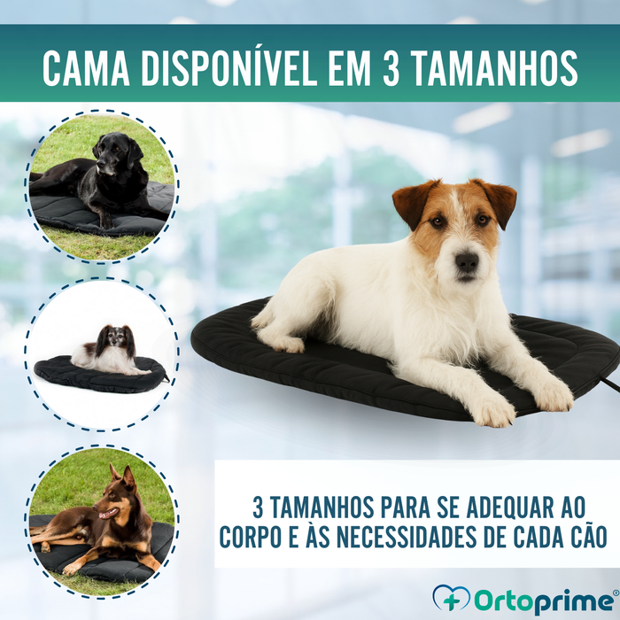 Cama Térmica para Cães com Artrose | Tecido Terapêutico