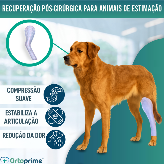 Férula Rápida para Patas de Cães e Gatos | 3 Tamanhos