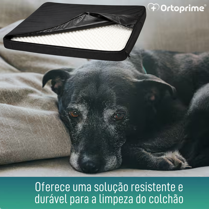 Capa Impermeável para Colchão Ortopédico Canino | 4 Medidas