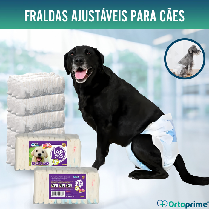 Fraldas Caninas para Fêmeas e Cachorros | Alta Absorção