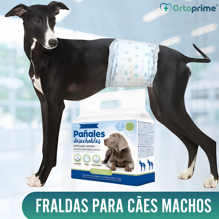 Fraldas para Cão Macho Ultra Absorventes | Pack 12 Unid.