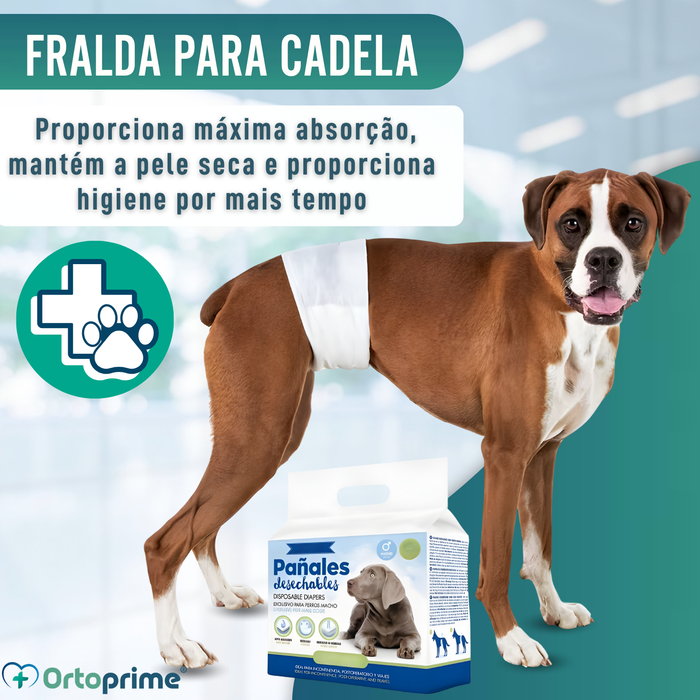 Fraldas para Cão Macho Ultra Absorventes | Pack 12 Unid.