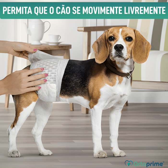 Fraldas para Cão Macho Ultra Absorventes | Pack 12 Unid.