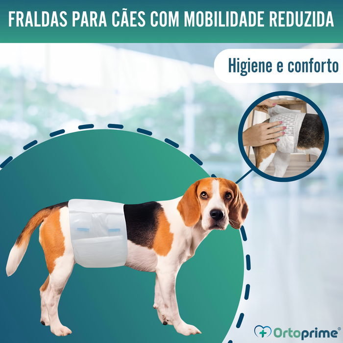 Fraldas para Cão Macho Ultra Absorventes | Pack 12 Unid.