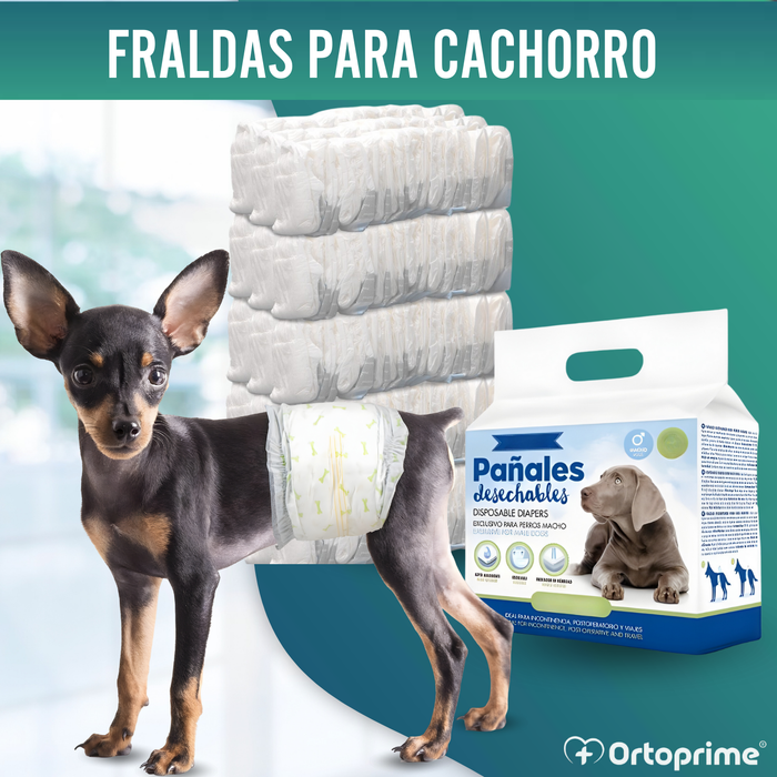 Fraldas para Cão Macho Ultra Absorventes | Pack 12 Unid.
