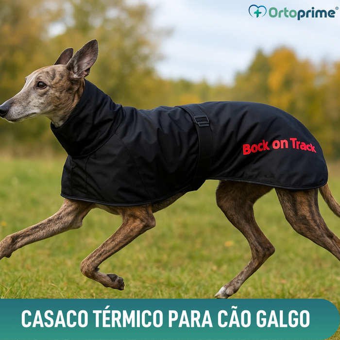 Abrigo Térmico Impermeável para Galgo | 2 Tamanhos