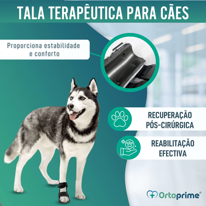 Férula de Bota Curta para Cães com Knuckling | 5 Tamanhos