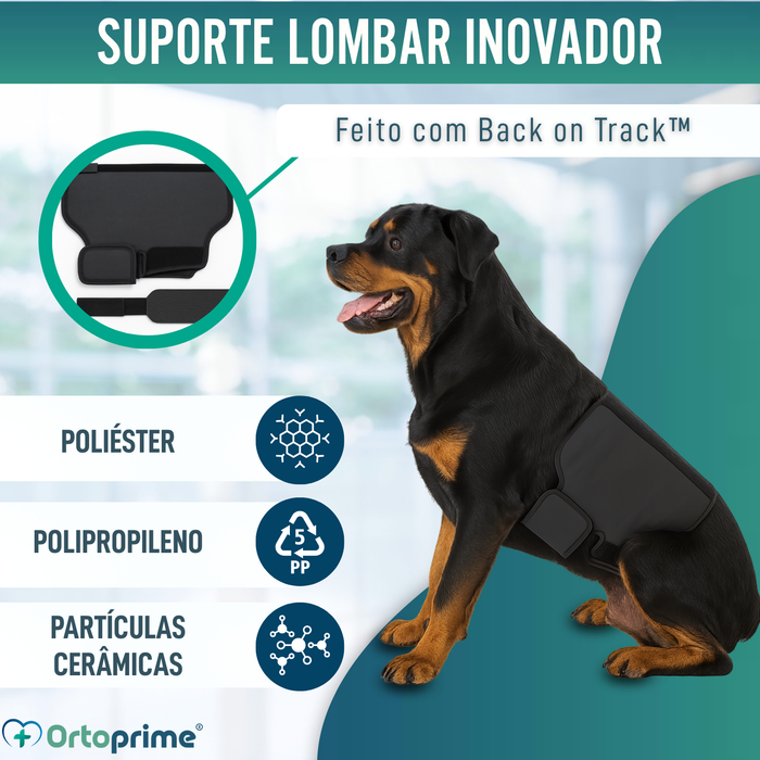 Suporte Térmico Canino Back on Track | Cinta para as Costas