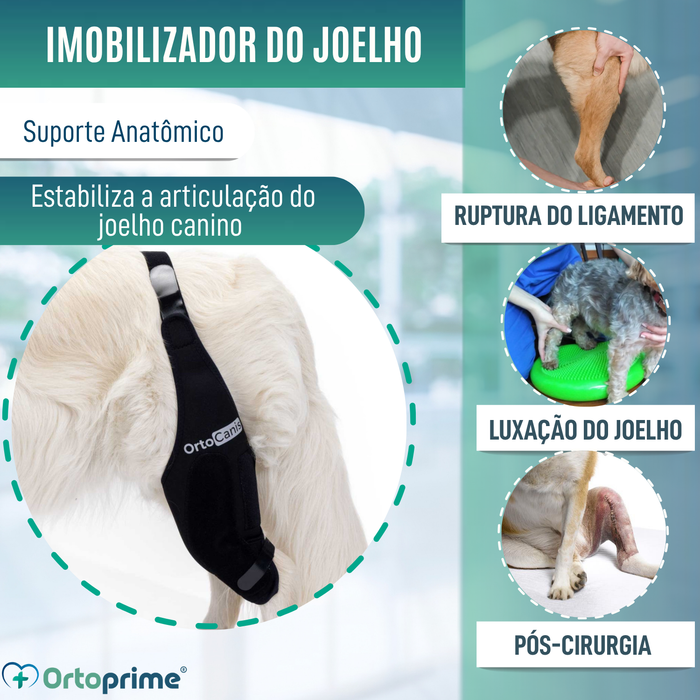 Imobilizador de Joelho para Cães em Neoprene | 9 Tamanhos