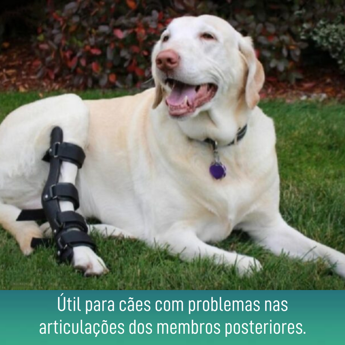 Tala Ortopédica para Cães com Lesões de Tarso e Tornozelo