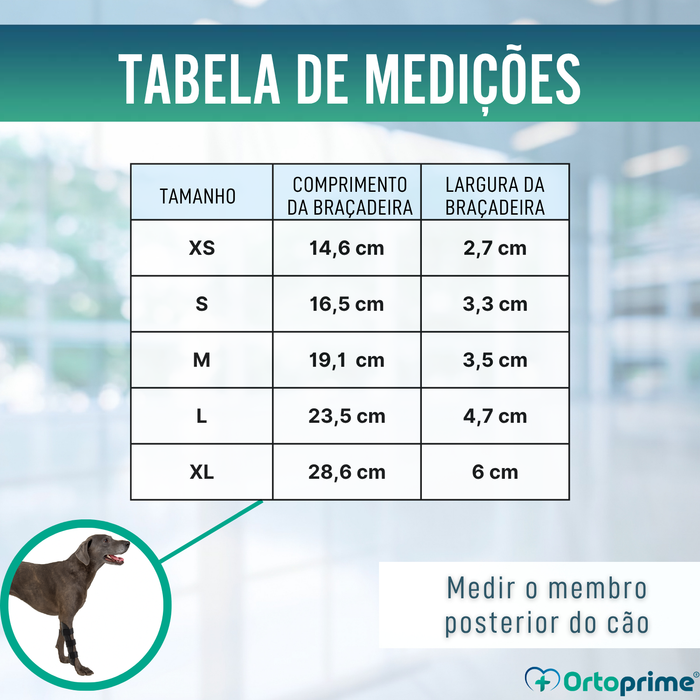 Tala Ortopédica para Cães com Lesões de Tarso e Tornozelo