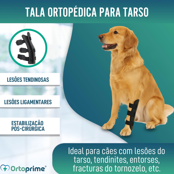 Tala Ortopédica para Cães com Lesões de Tarso e Tornozelo