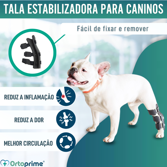 Tala Ortopédica para Cães com Lesões de Tarso e Tornozelo