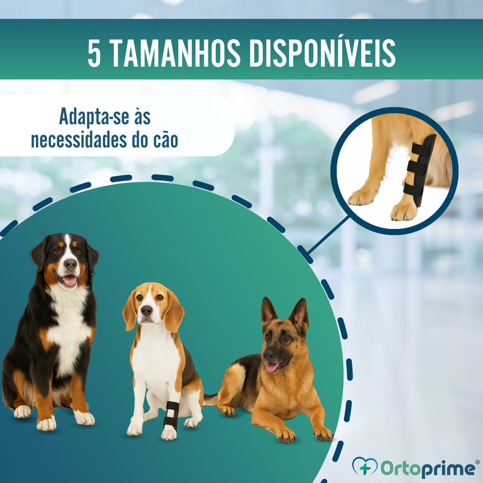 Tala Ortopédica para Cães com Lesões de Tarso e Tornozelo