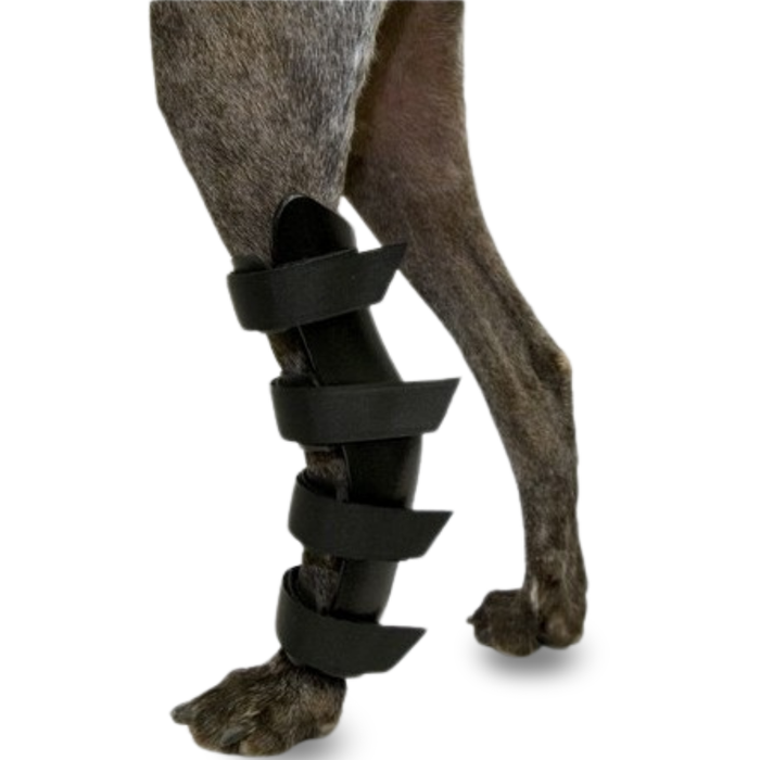 Tala Ortopédica para Cães com Lesões de Tarso e Tornozelo