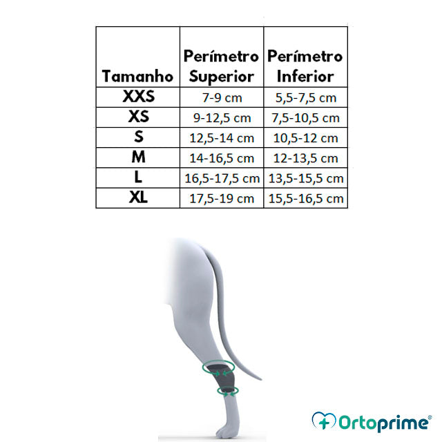 Suporte de Tarso para Cães Adaptável - Por Tamanhos